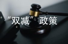 “双减”周末变成“社区小先生” 宝山区小囡生活很充实